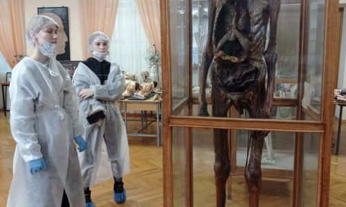 Посещение анатомического музея ВГМУ