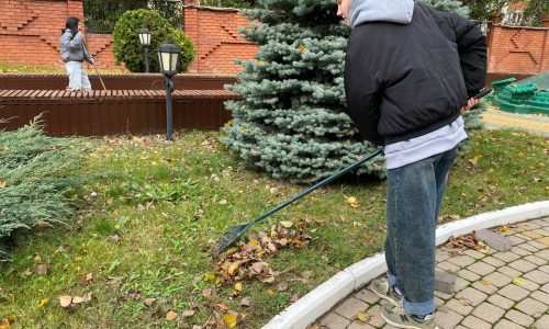 Благоустройство территории