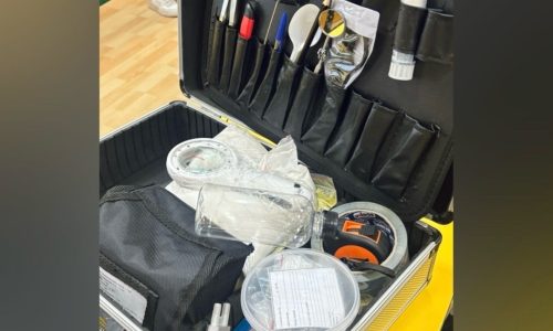 Интерактивная лекция «Виды судебных экспертиз»