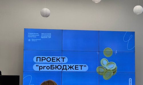 Участие в проекте «proБЮДЖЕТ