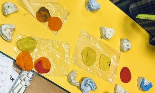 Интерактивная лекция «Виды судебных экспертиз»