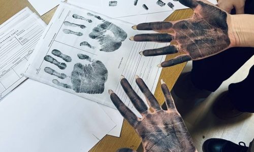 Интерактивная лекция «Виды судебных экспертиз»