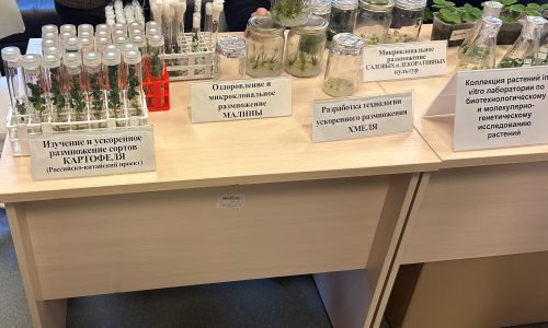 Сотрудники ВЭПИ приняли участие в IV Конгрессе молодых ученых Воронежской области