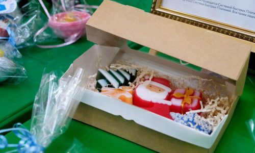 Участники Медиацентра – медиаволонтеры инклюзивного форума